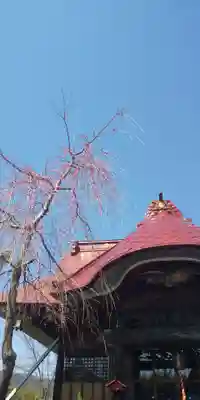 大鏑神社の本殿・本堂