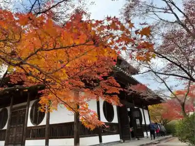 井山 宝福寺(岡山県)