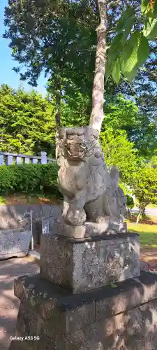 蛇ケ崎八幡神社の{uncategorized: "未分類", other: "その他", undefined: "問題あり", building: "その他建物", grave: "お墓", sacred_gate: "鳥居", guardian: "狛犬", statue: "像", buddha: "仏像", history: "歴史", nature: "自然", garden: "庭園", animal: "動物", pagoda: "塔", temizu: "手水舎", mountain_gate: "山門・神門", sanctuary: "本殿・本堂", subordinate: "末社・摂社", art: "芸術", scenery: "景色", jizo: "地蔵", ema: "絵馬", goshuin: "御朱印", omikuji: "おみくじ", items: "授与品その他", amulet: "お守り", goshuincho: "御朱印帳", eats: "食事", festival: "お祭り", votive_dance: "神楽", shichigosan: "七五三参", wedding: "結婚式", experience: "体験その他", initially: "初詣", around: "周辺", anti_infection: "感染症対策"}