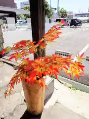 阿邪訶根神社(福島県)