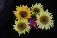 大鏑神社の手水舎