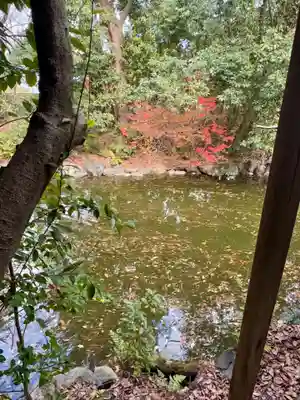 嚴島神社 (京都御苑)(京都府)