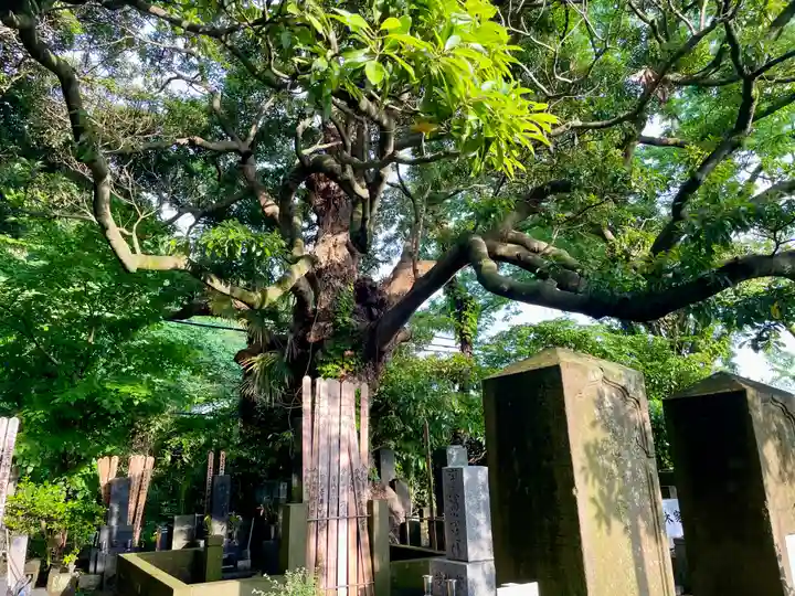 長生院(神奈川県)