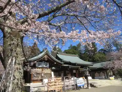 茨城縣護國神社の本殿・本堂