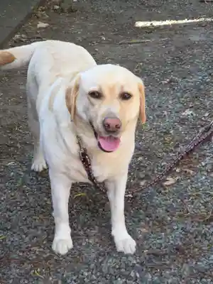 美濃輪稲荷神社(静岡県)