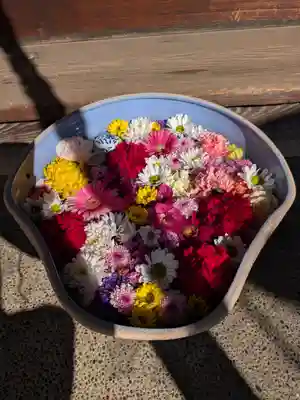 谷中西光寺(東京都)