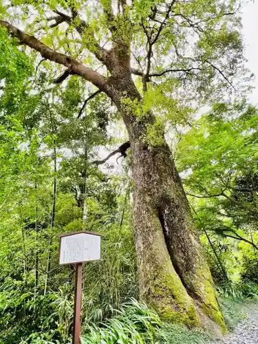 西光院(茨城県)