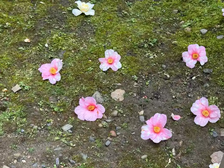 城南宮(京都府)