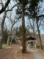 大星神社(長野県)