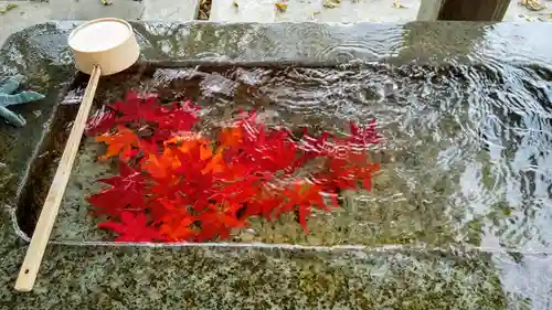 釧路一之宮 厳島神社の手水