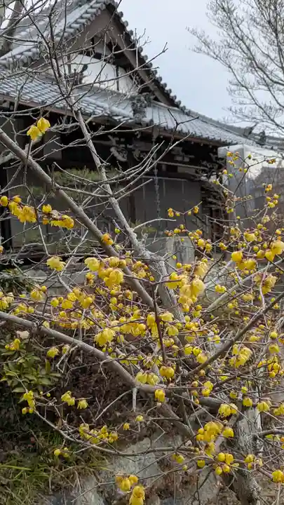 正源寺(滋賀県)