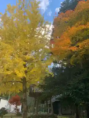 興聖寺(滋賀県)