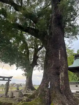 溝口竃門神社(福岡県)