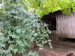 北野神社の自然