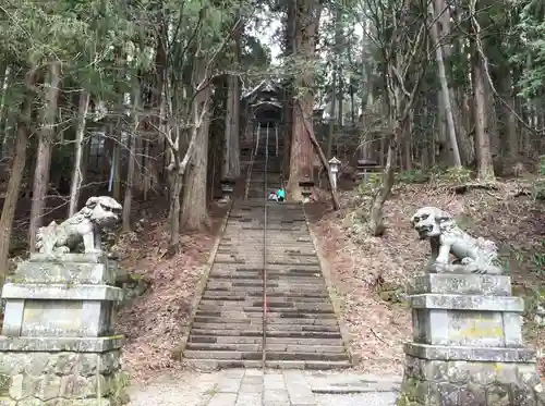 戸隠神社宝光社の狛犬