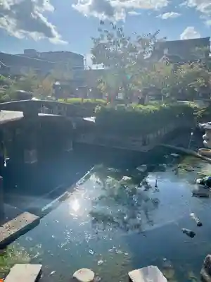 六孫王神社(京都府)