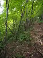 大川神社の周辺