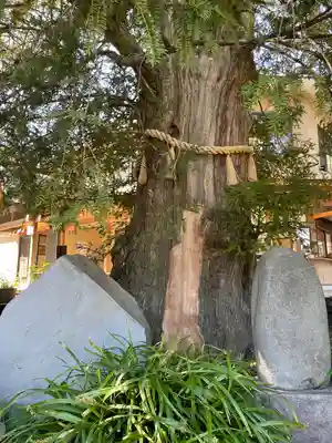 瀬戸神社(神奈川県)