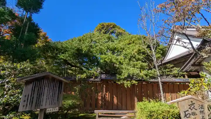 宝泉院(京都府)
