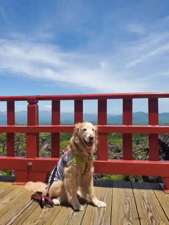 寛永寺別院浅間山観音堂の動物