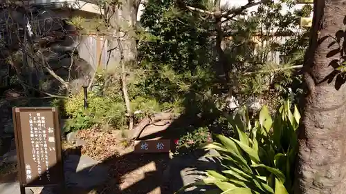 蛇窪神社(東京都)