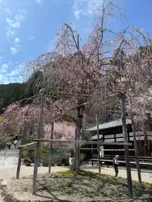 善峯寺(京都府)