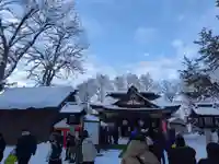 鷹栖神社の初詣