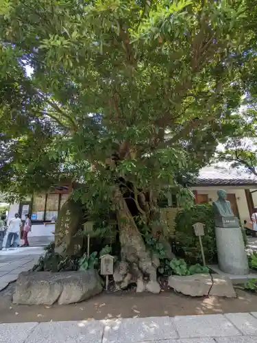 長谷寺(神奈川県)
