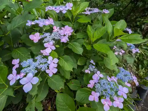 長谷寺(神奈川県)