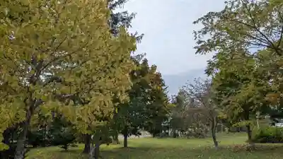 上更別神社の自然