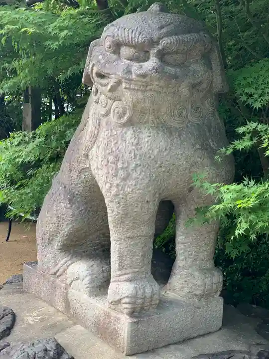 晴明神社の狛犬