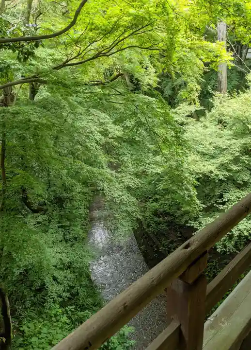 東福禅寺(東福寺)(京都府)