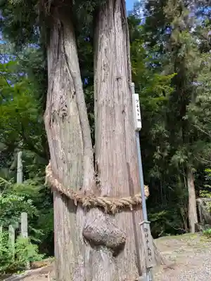 八幡神社(岐阜県)