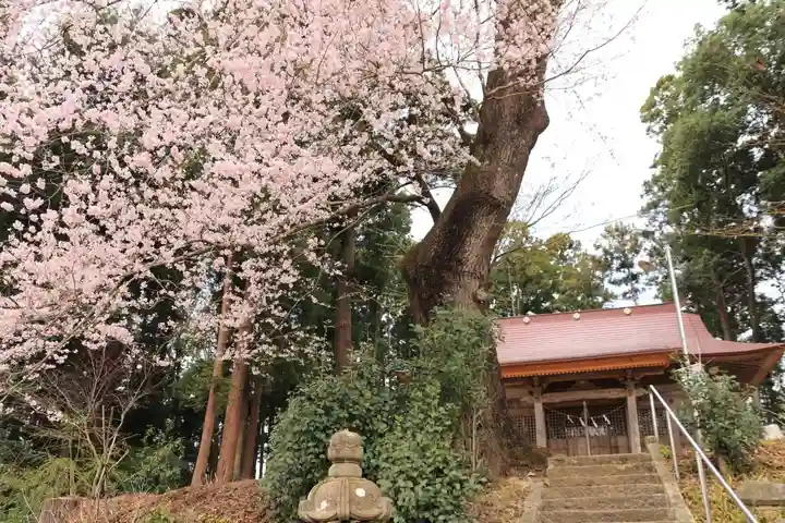 菅布禰神社の山門・神門