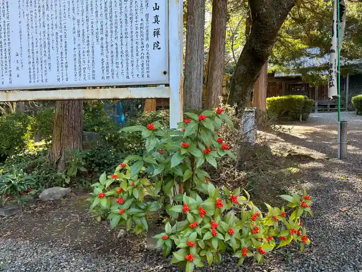 真禅院(岐阜県)