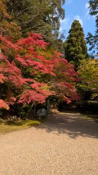 地藏院(京都府)