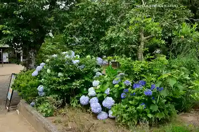 鎌数伊勢大神宮(千葉県)