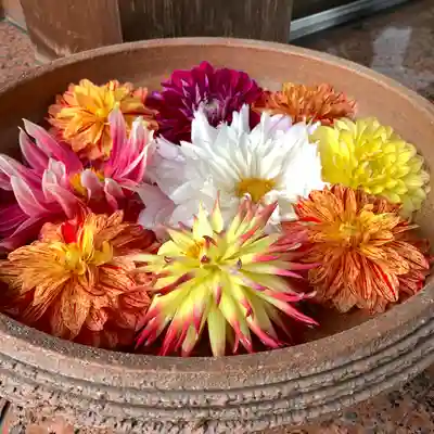 伊和志津神社のその他建物