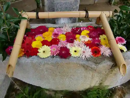 田間神社の手水舎