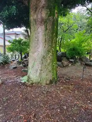 小舟神社(群馬県)