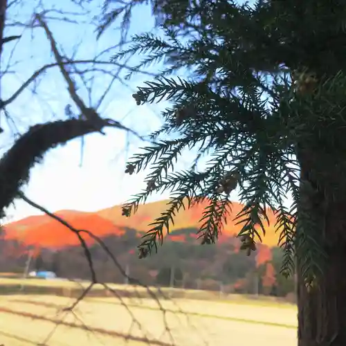 高司神社〜むすびの神の鎮まる社〜の景色