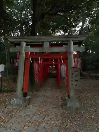 武蔵一宮氷川神社の鳥居