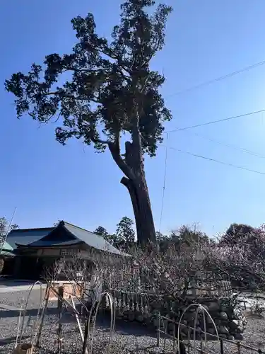 矢奈比賣神社（見付天神）(静岡県)