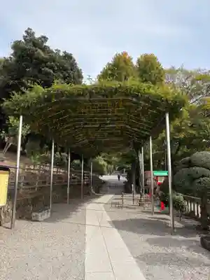 足利織姫神社(栃木県)