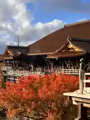 清水寺(京都府)