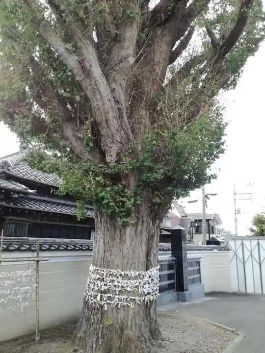 子守神社の自然