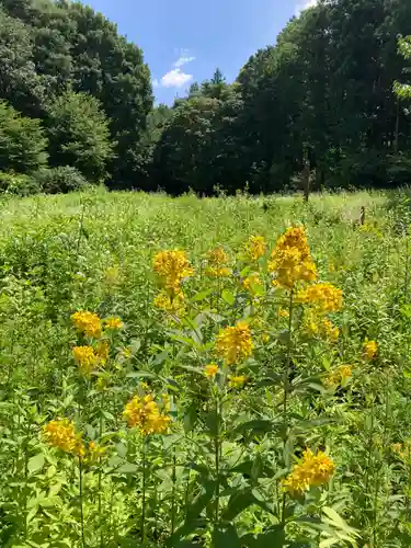 十二山神社(群馬県)