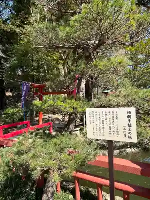 間々田八幡宮(栃木県)