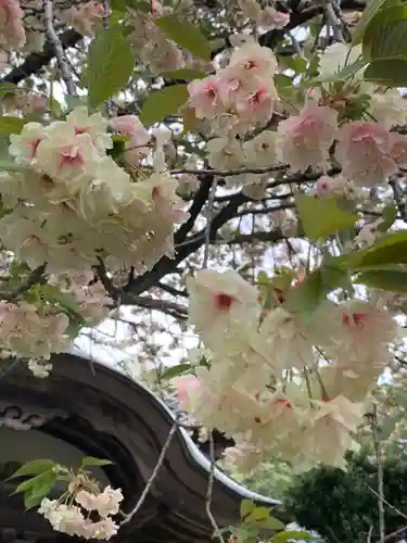 西福寺(福井県)