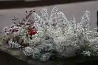 熊野福藏神社の手水舎